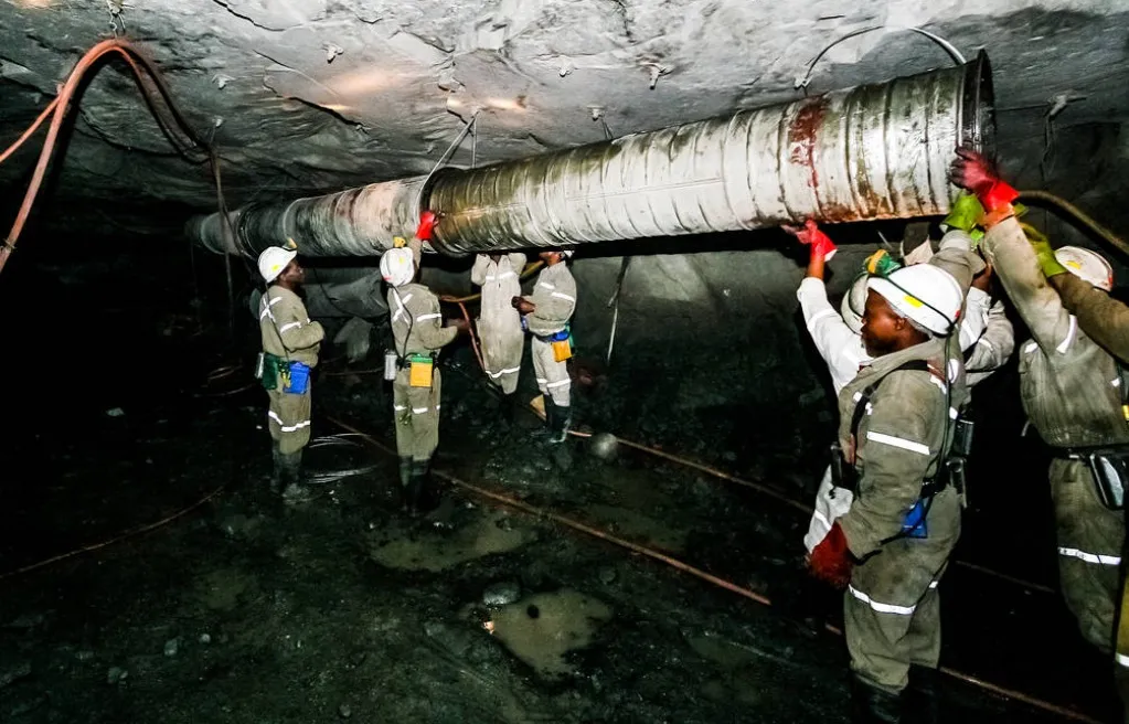 Professional_Services_49