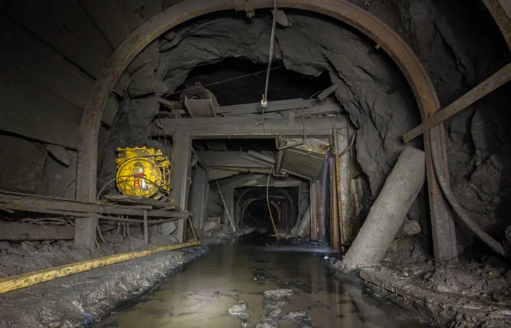 Professional_Services_50